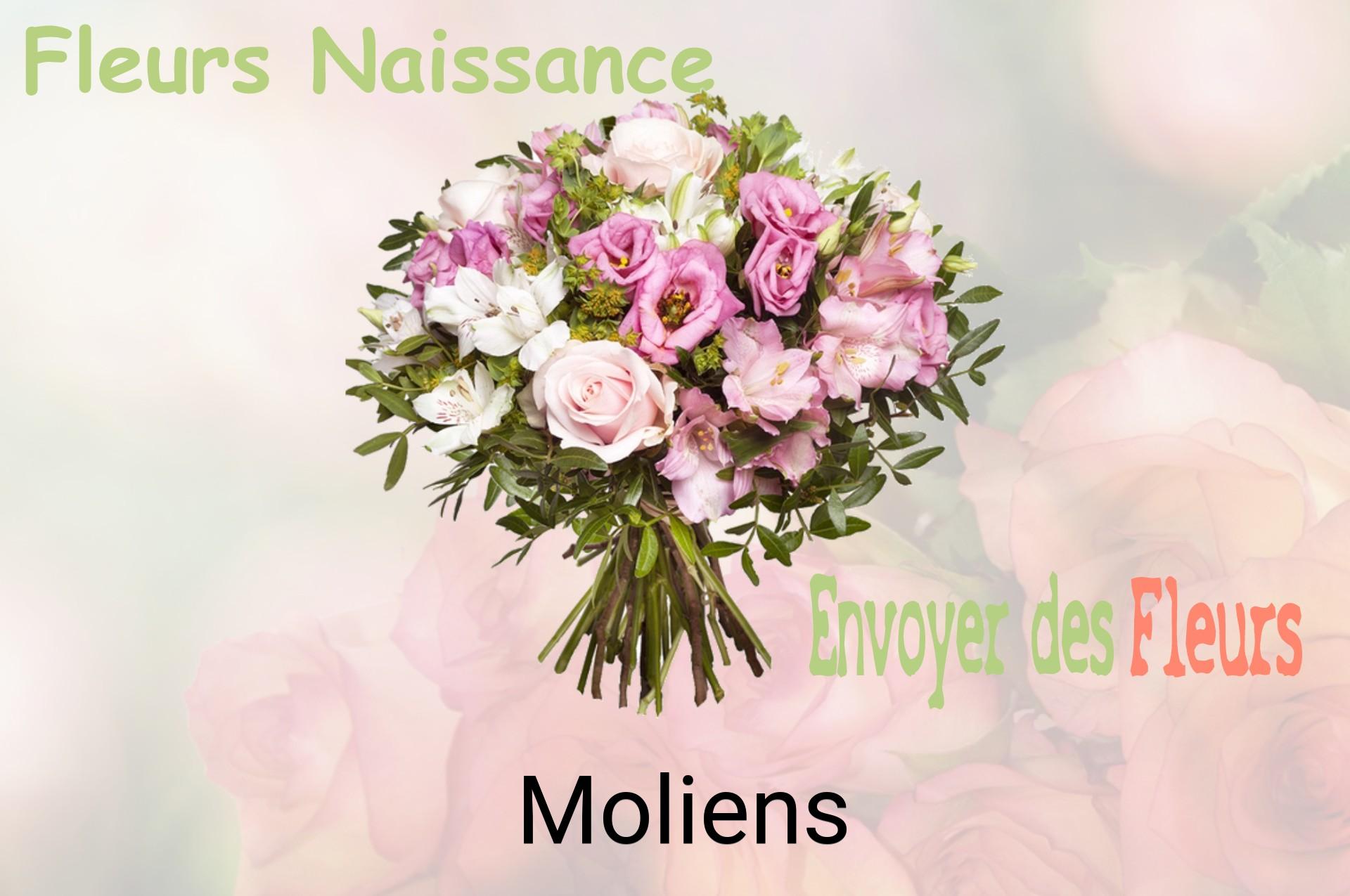 Bouquet de fleurs de naissance livré à Moliens