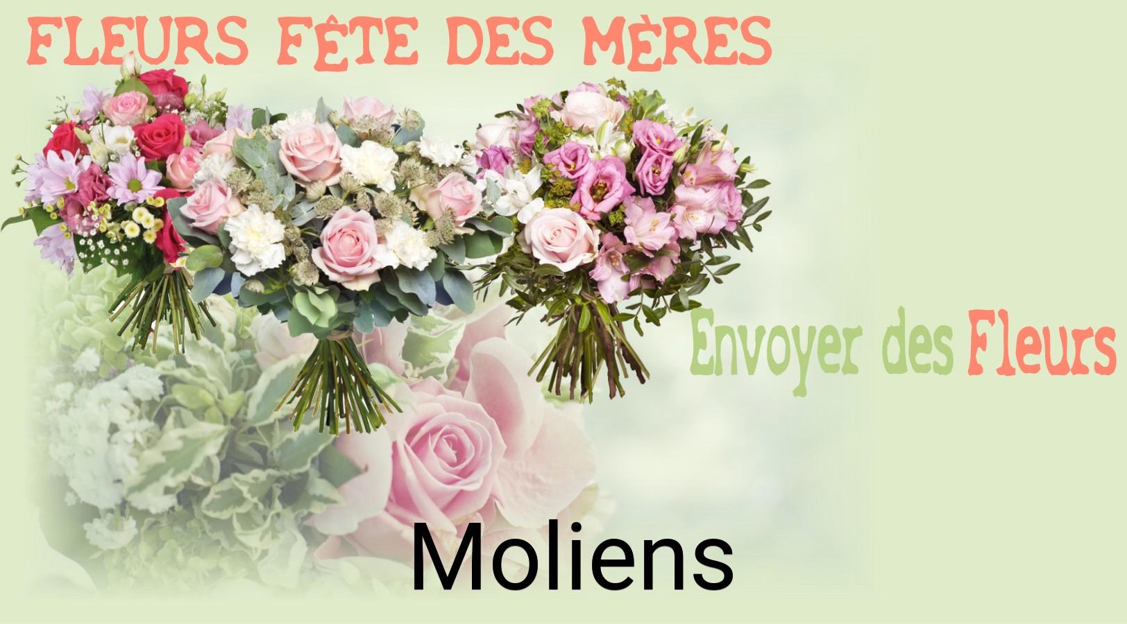Bouquet de Fête des Mères livré à Moliens